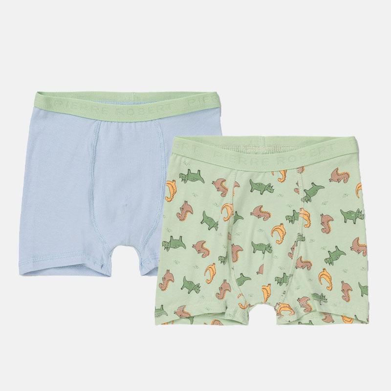 Boxershorts i bomull liten gutt, Sky Blue and Mint Green, hi-res